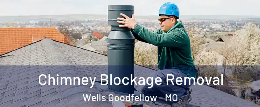 Chimney Blockage Removal Wells Goodfellow - MO