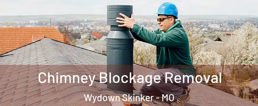Chimney Blockage Removal Wydown Skinker - MO