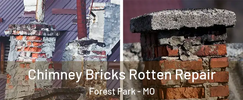 Chimney Bricks Rotten Repair Forest Park - MO