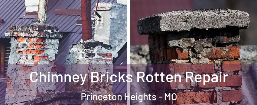 Chimney Bricks Rotten Repair Princeton Heights - MO