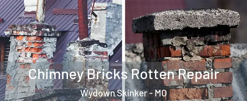 Chimney Bricks Rotten Repair Wydown Skinker - MO