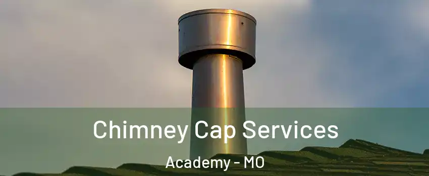 Chimney Cap Services Academy - MO