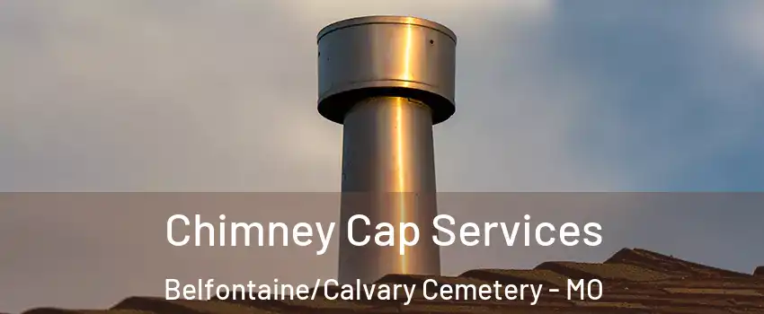 Chimney Cap Services Belfontaine/Calvary Cemetery - MO
