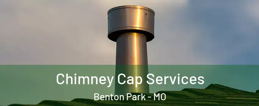 Chimney Cap Services Benton Park - MO