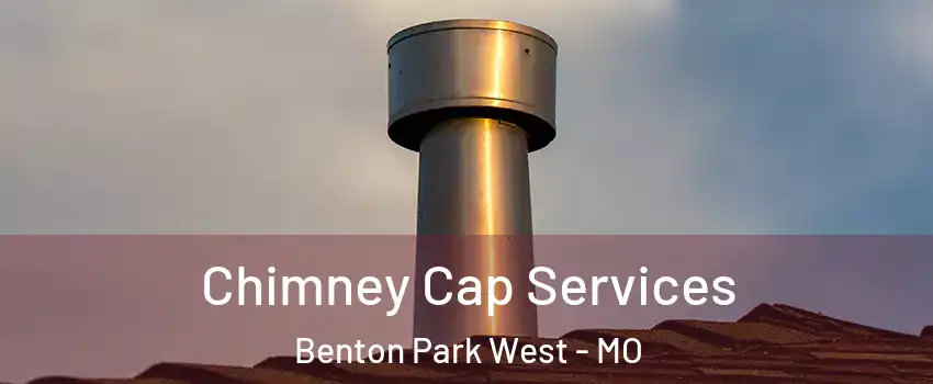 Chimney Cap Services Benton Park West - MO