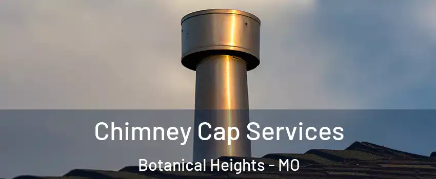 Chimney Cap Services Botanical Heights - MO