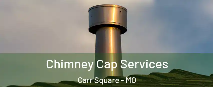 Chimney Cap Services Carr Square - MO