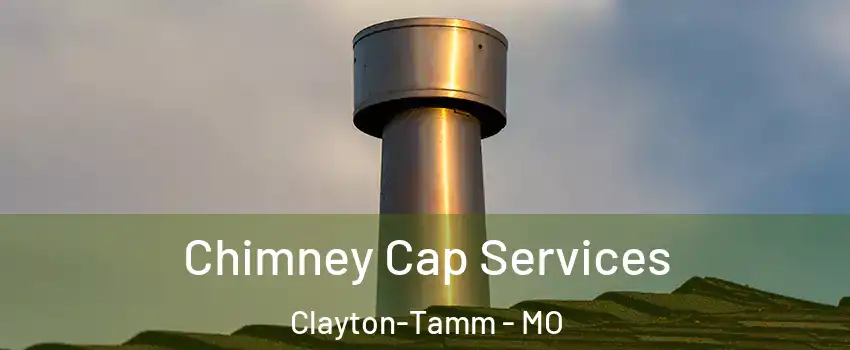Chimney Cap Services Clayton-Tamm - MO