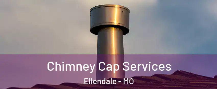 Chimney Cap Services Ellendale - MO
