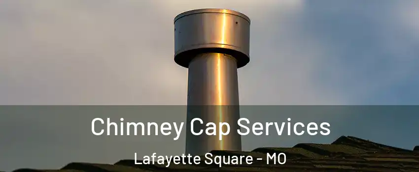 Chimney Cap Services Lafayette Square - MO
