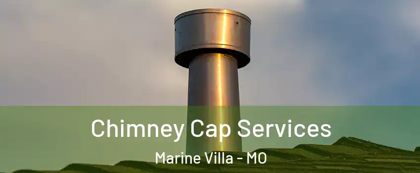 Chimney Cap Services Marine Villa - MO