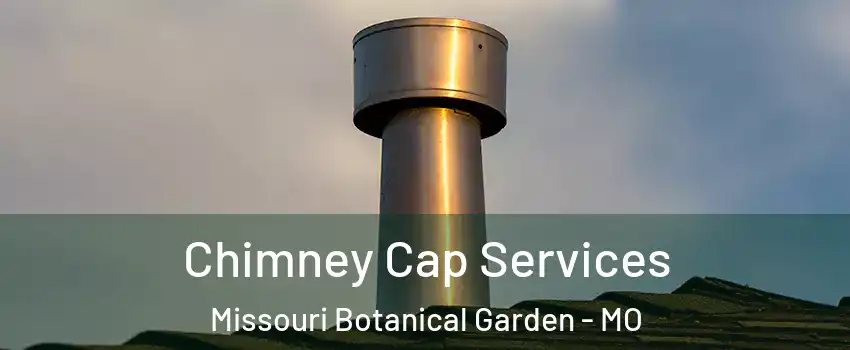 Chimney Cap Services Missouri Botanical Garden - MO