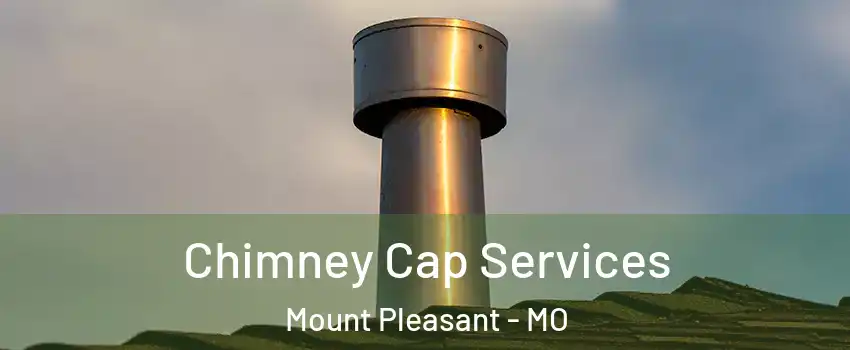Chimney Cap Services Mount Pleasant - MO