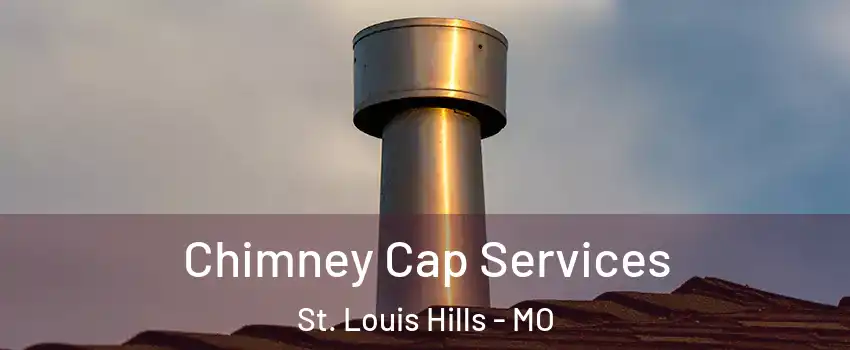 Chimney Cap Services St. Louis Hills - MO