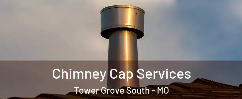 Chimney Cap Services Tower Grove South - MO