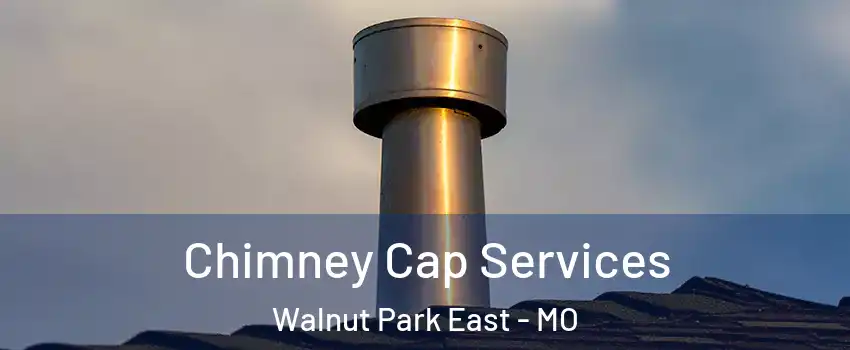 Chimney Cap Services Walnut Park East - MO