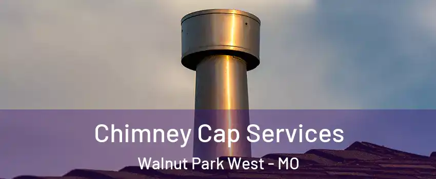 Chimney Cap Services Walnut Park West - MO