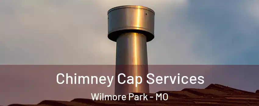 Chimney Cap Services Wilmore Park - MO