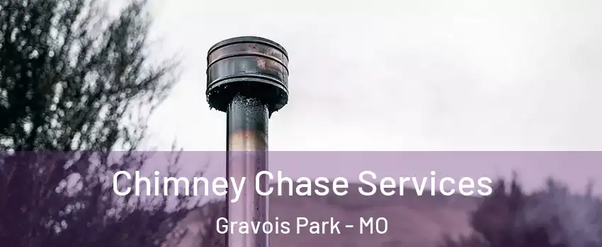Chimney Chase Services Gravois Park - MO