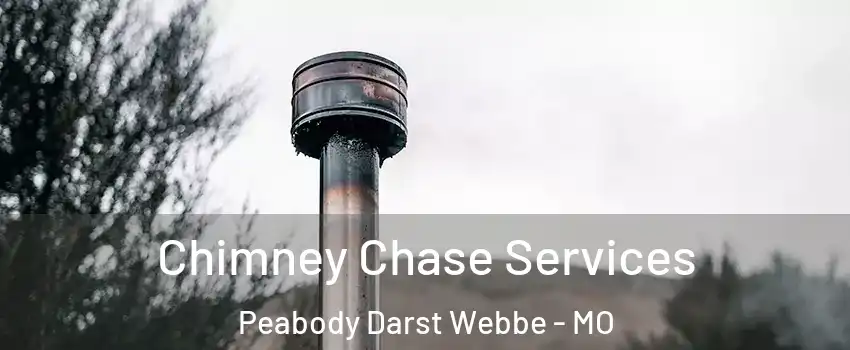 Chimney Chase Services Peabody Darst Webbe - MO