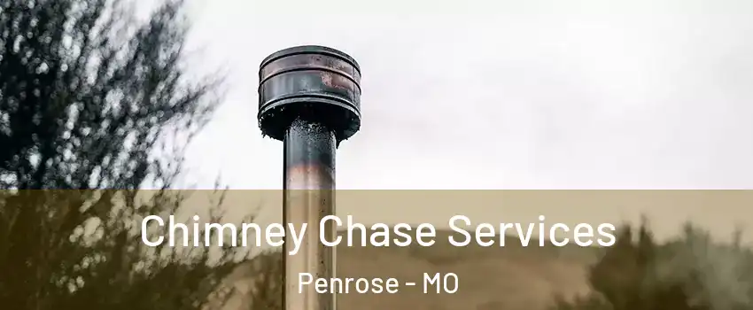 Chimney Chase Services Penrose - MO