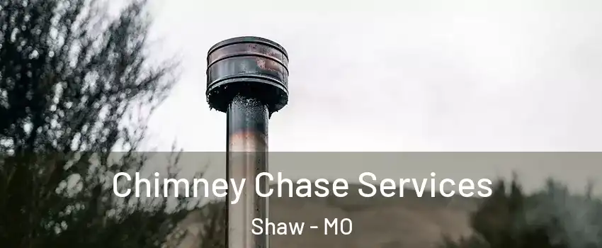 Chimney Chase Services Shaw - MO