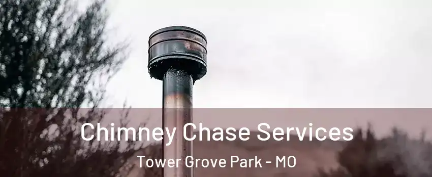 Chimney Chase Services Tower Grove Park - MO