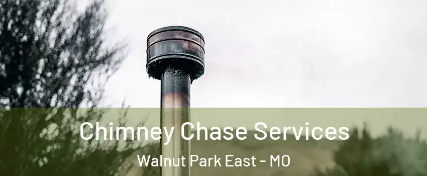 Chimney Chase Services Walnut Park East - MO