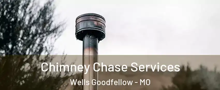Chimney Chase Services Wells Goodfellow - MO