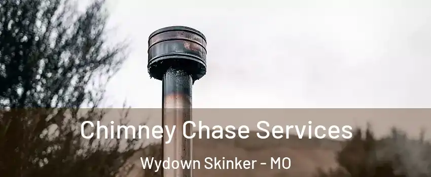 Chimney Chase Services Wydown Skinker - MO