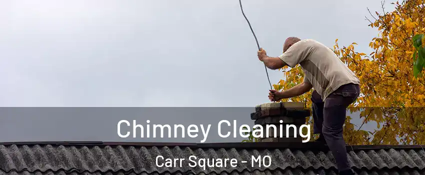 Chimney Cleaning Carr Square - MO