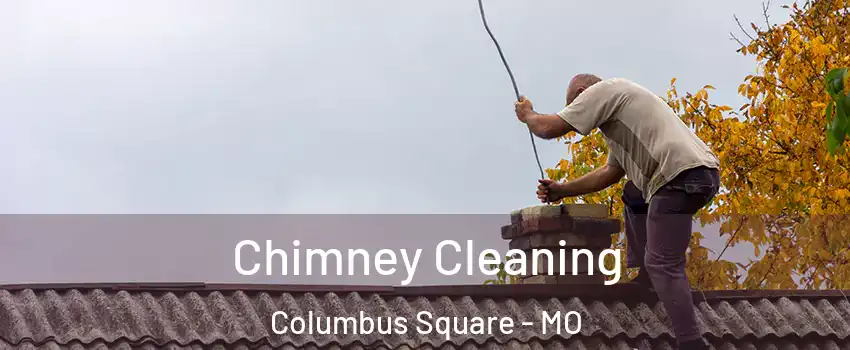 Chimney Cleaning Columbus Square - MO