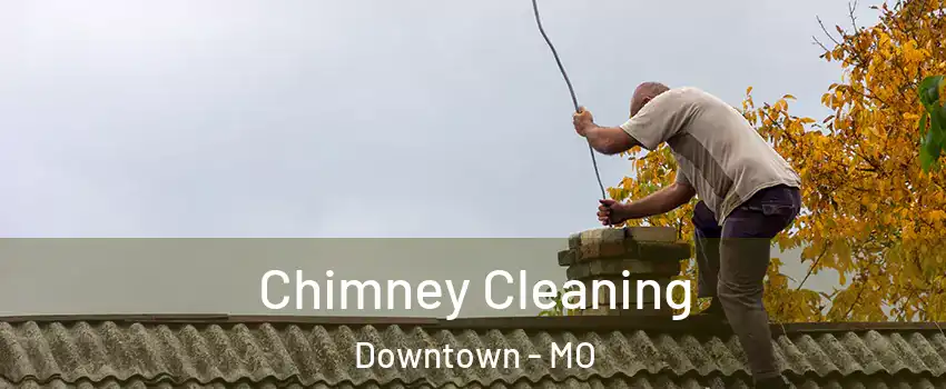 Chimney Cleaning Downtown - MO
