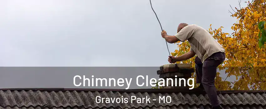 Chimney Cleaning Gravois Park - MO