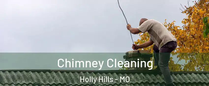 Chimney Cleaning Holly Hills - MO