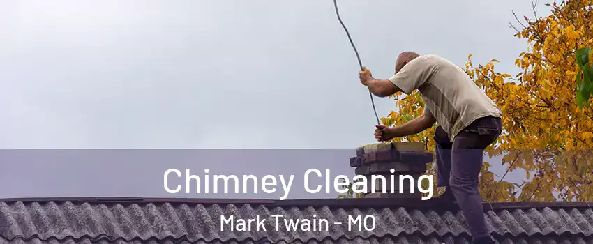 Chimney Cleaning Mark Twain - MO