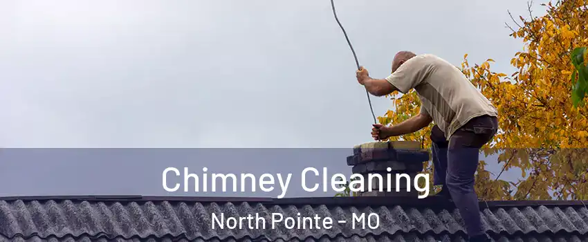 Chimney Cleaning North Pointe - MO
