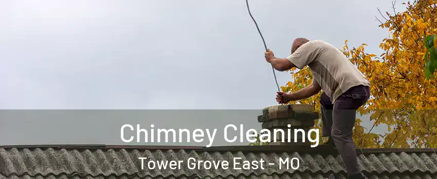 Chimney Cleaning Tower Grove East - MO