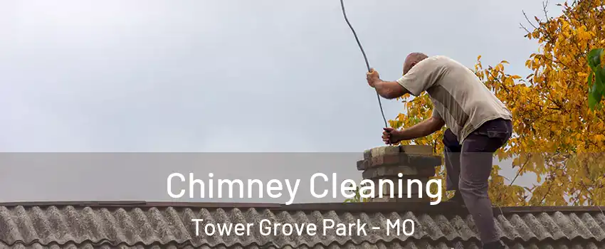 Chimney Cleaning Tower Grove Park - MO