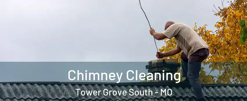 Chimney Cleaning Tower Grove South - MO