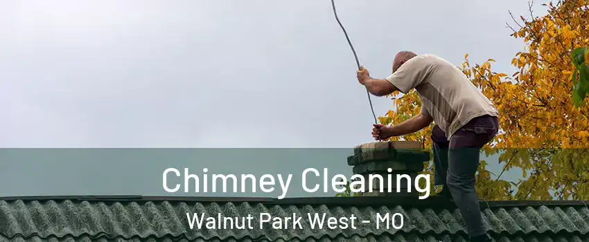 Chimney Cleaning Walnut Park West - MO