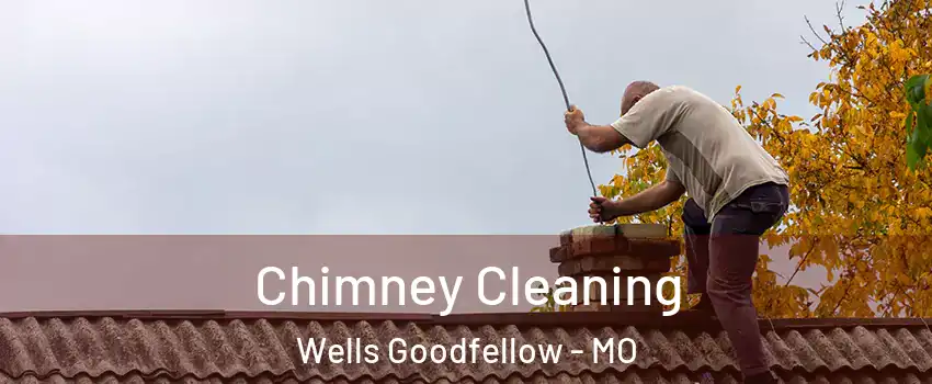 Chimney Cleaning Wells Goodfellow - MO