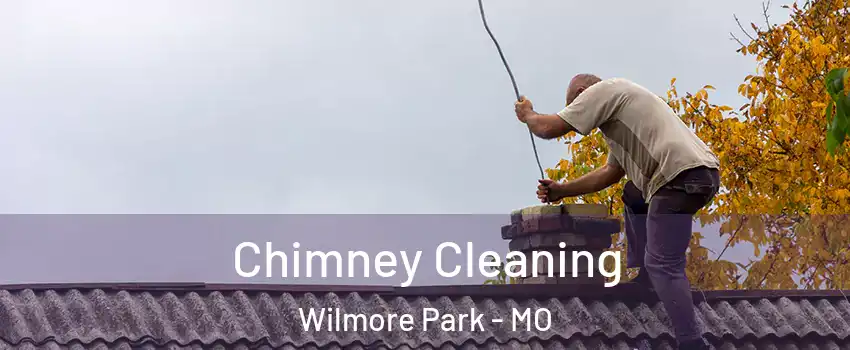 Chimney Cleaning Wilmore Park - MO