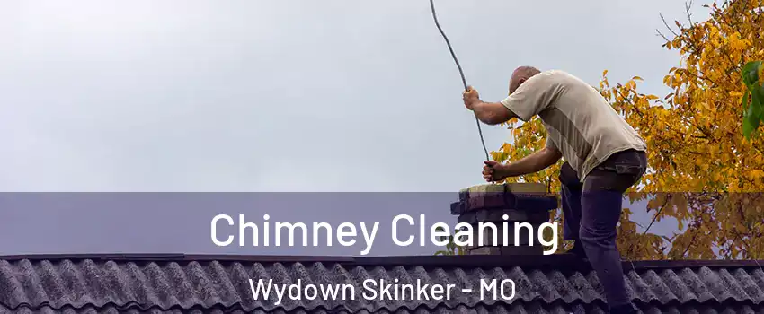 Chimney Cleaning Wydown Skinker - MO