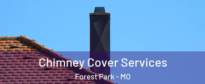 Chimney Cover Services Forest Park - MO