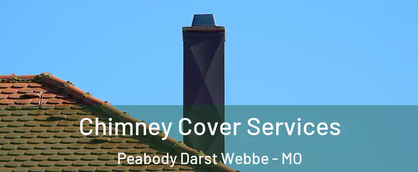 Chimney Cover Services Peabody Darst Webbe - MO