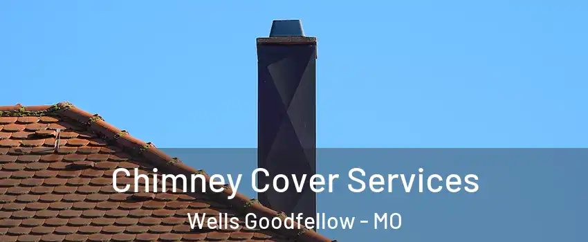 Chimney Cover Services Wells Goodfellow - MO