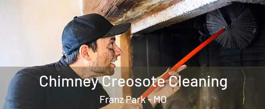 Chimney Creosote Cleaning Franz Park - MO