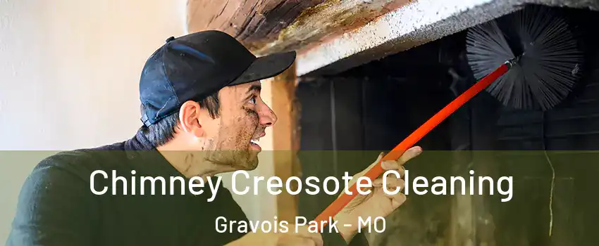Chimney Creosote Cleaning Gravois Park - MO