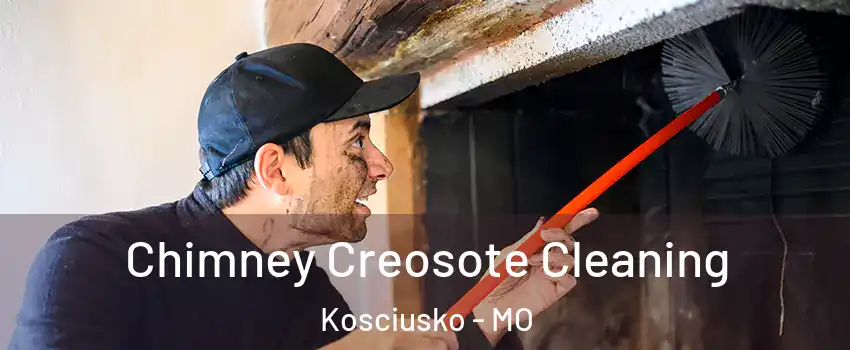 Chimney Creosote Cleaning Kosciusko - MO